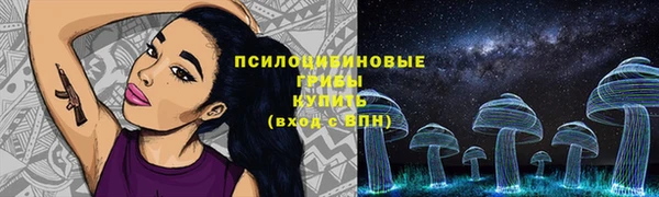 a pvp Абинск
